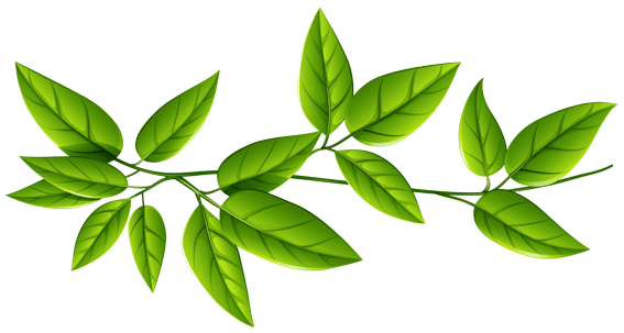 Green_Leaves_PNG_Image_01
